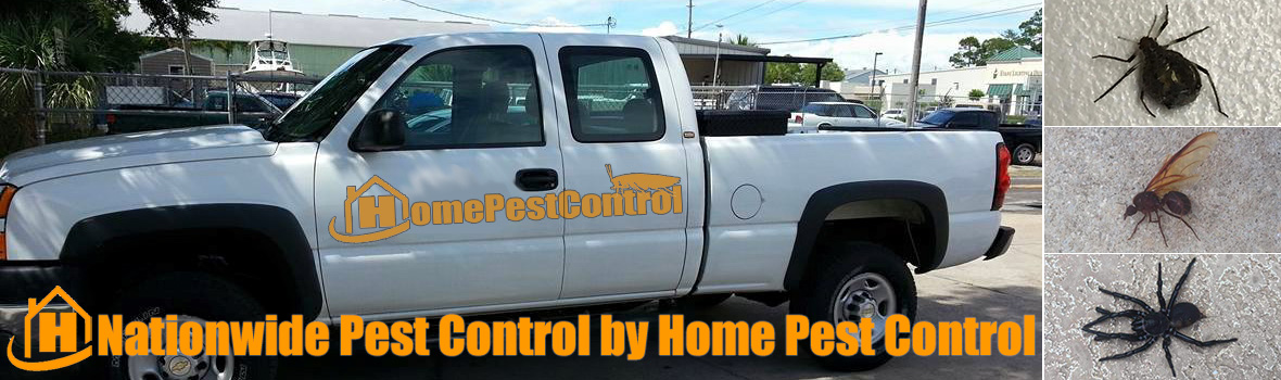 Home Pest Control